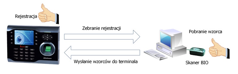 Biometria w automatycznej identyfikacji -model2