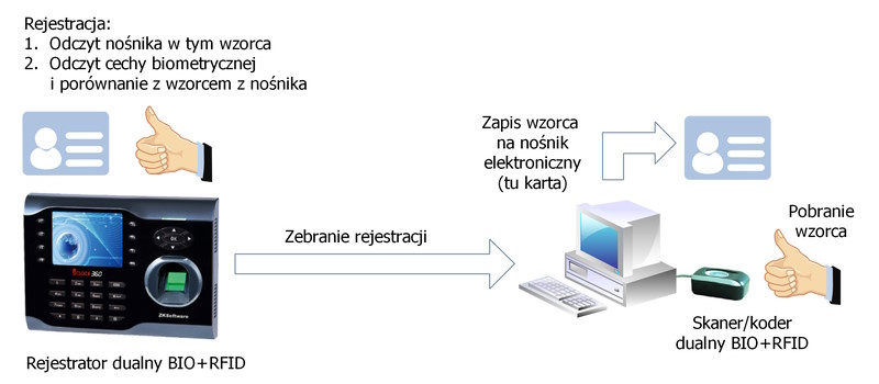 Biometria w automatycznej identyfikacji - model3